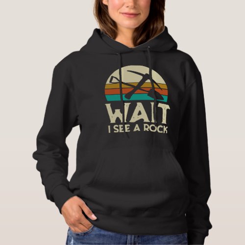 Geographer Gift Geologist Rock Collector Retro Geo Hoodie