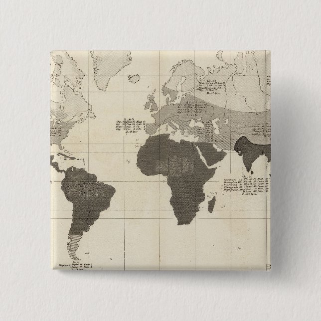 Geographical Distribution of Vegetation Button (Front)