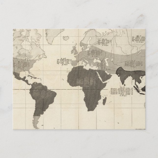 Geographical Distribution of Vegetation Postcard (Front)