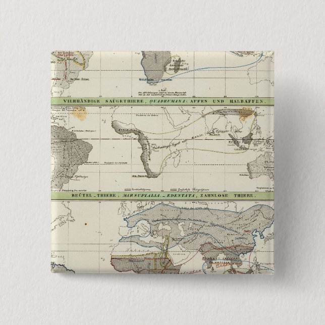 Geographical Distribution Pinback Button (Front)