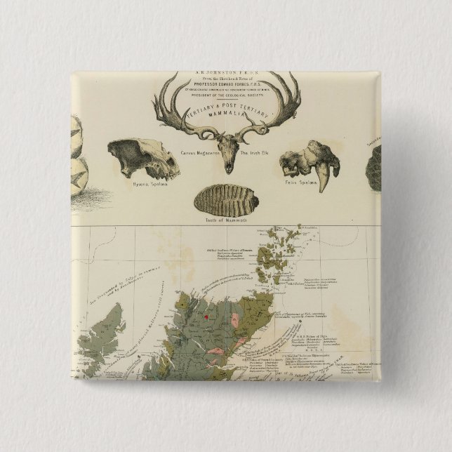 Geological, palaeontological map British Islands Pinback Button (Front)
