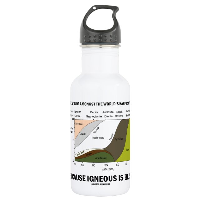 Geologists Happiest People Igneous Is Bliss Stainless Steel Water Bottle (Front)