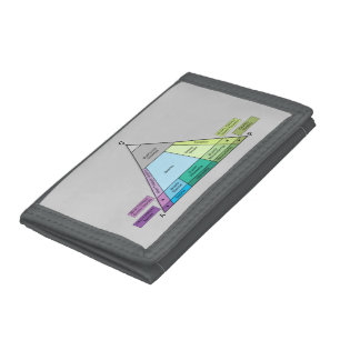 Geologist's Plutonic Rock QAP Diagram Tri-fold Wallet