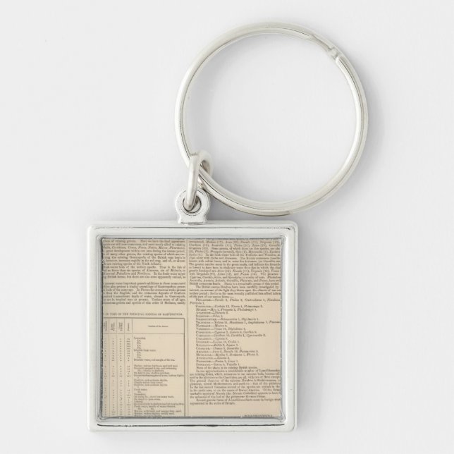 Geology and Paleontology of the British Isles Keychain (Front)