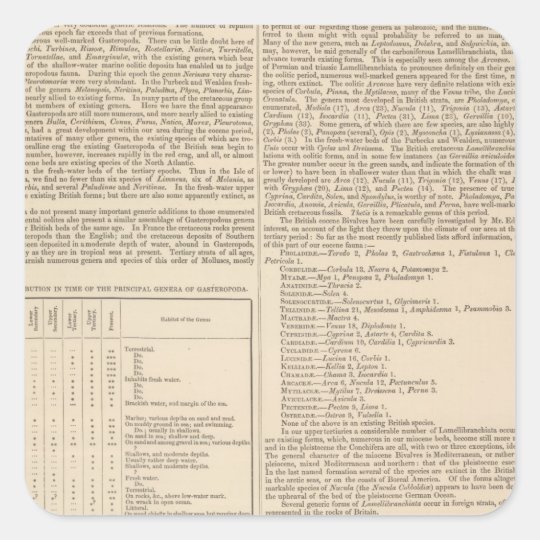 Geology and Paleontology of the British Isles Square Sticker