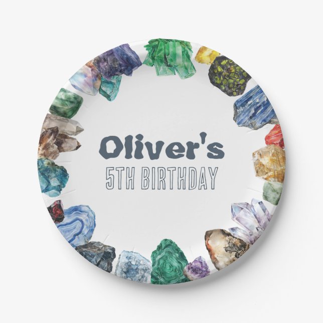 Geology Birthday Rocks Dig Party Paper Plates (Front)