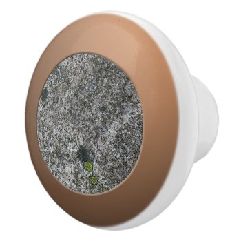 Geology Grey Granite With Moss Ceramic Knob by KreaturRock at Zazzle