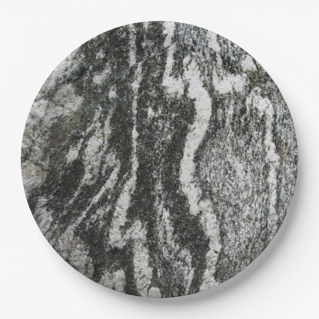 Geology Grey Rock Decorative Feline Pattern Melami Paper Plates (Front)