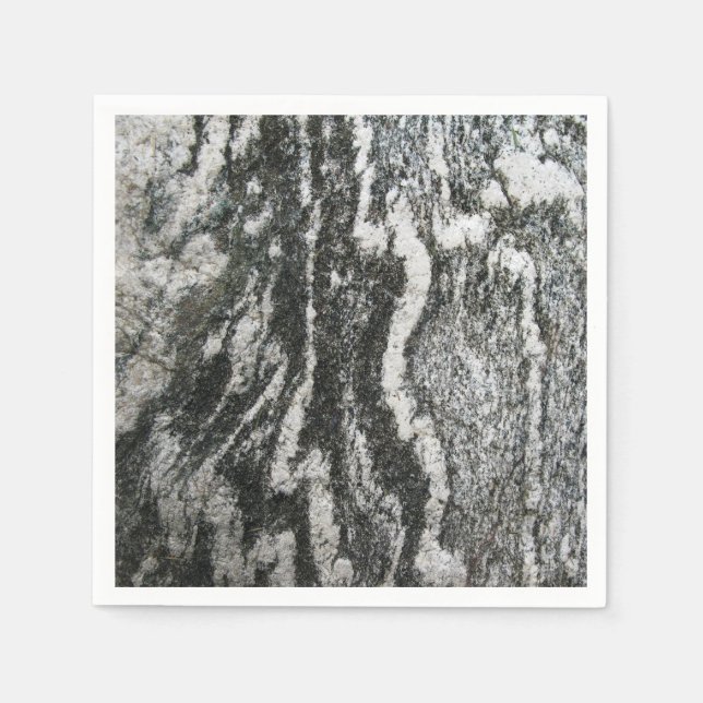 Geology Grey Rock with Feline Pattern Paper Napkins (Front)