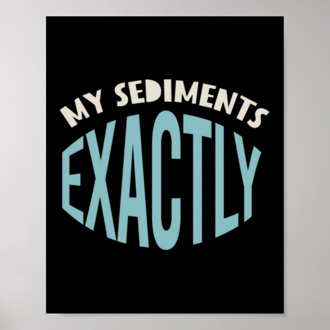 Geology Pun My Sediments Exactly Poster (Front)