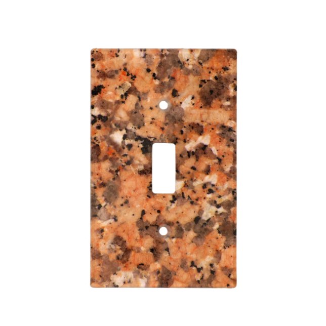 Geology Spotty Rock Texture Surface Light Switch Cover (Front)
