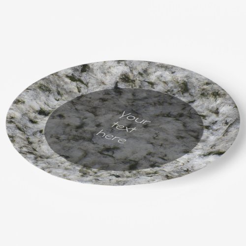 Geology White Granite Rock Texture any Text Paper Plates