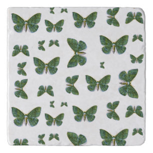 Geometra papilionaria - The Large Emerald Moth Trivet