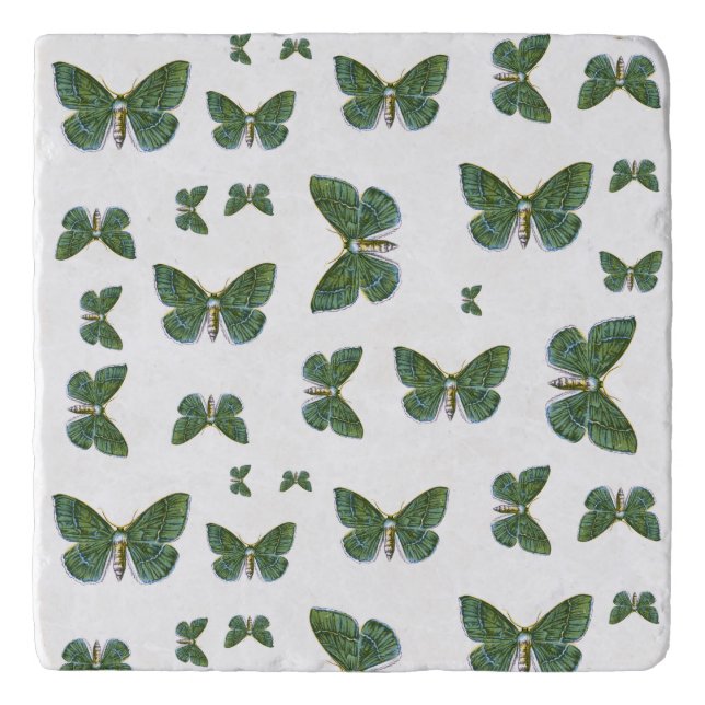 Geometra papilionaria - The Large Emerald Moth Trivet (Front)