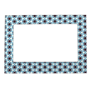 Geometric Bonanza Magnetic Frame