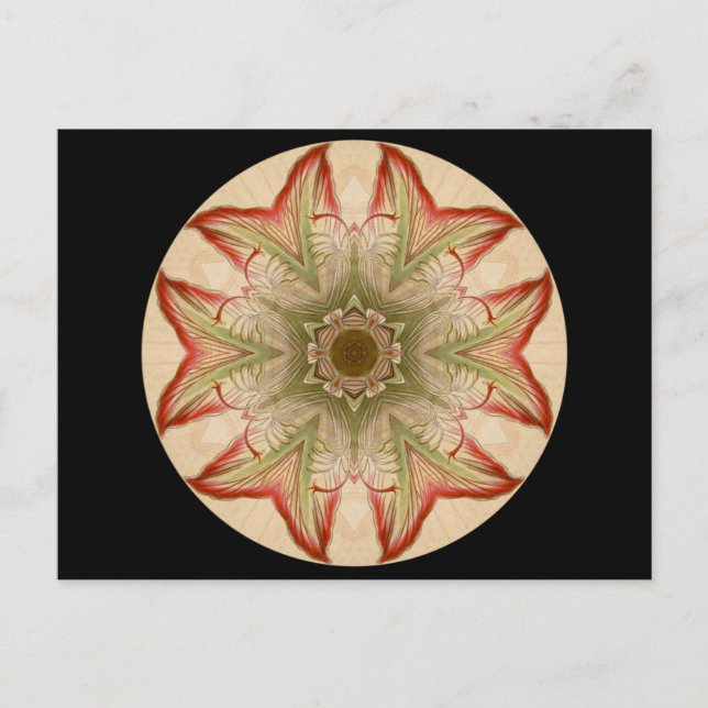 Geometric kaleidoscope Mandala Postcard (Front)