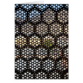 Geometric Lattice window, India (Front)