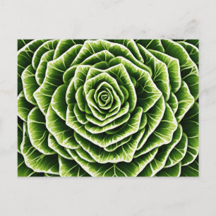 Geometric Lettuce Pattern Blending Nature Postcard