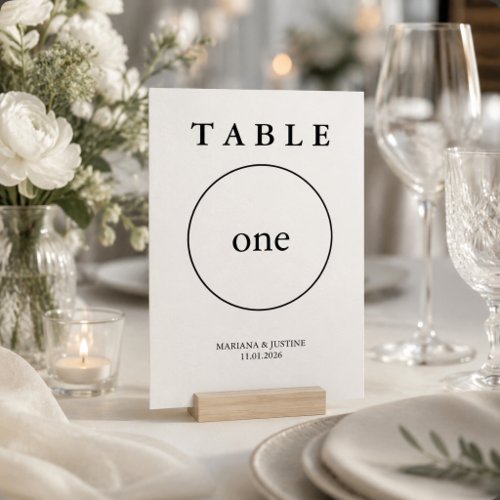 Geometric Minimalist Winter Wedding Table Number