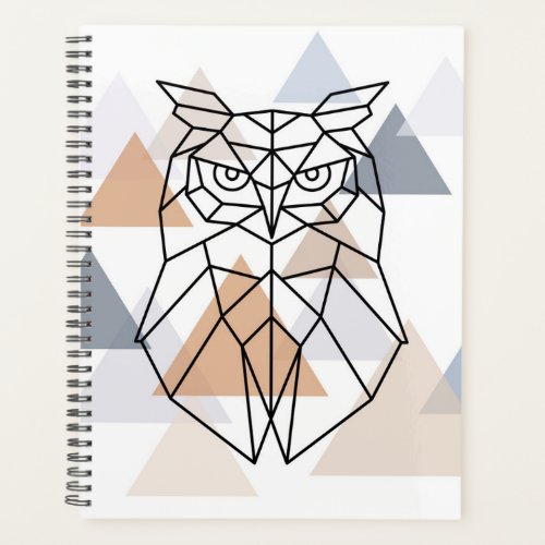 Geometric Owl Design Planner