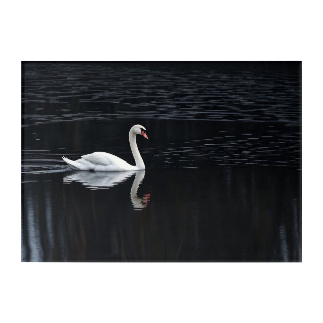 Geometric Swan Art Print on Reflective Dark Lake (Front)