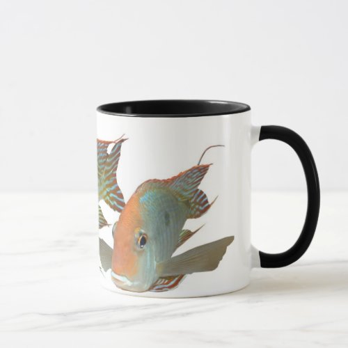 Geophagus sp Tapajos Orange Head Mug