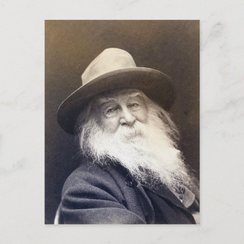 George C Cox Walt Whitman Postcard