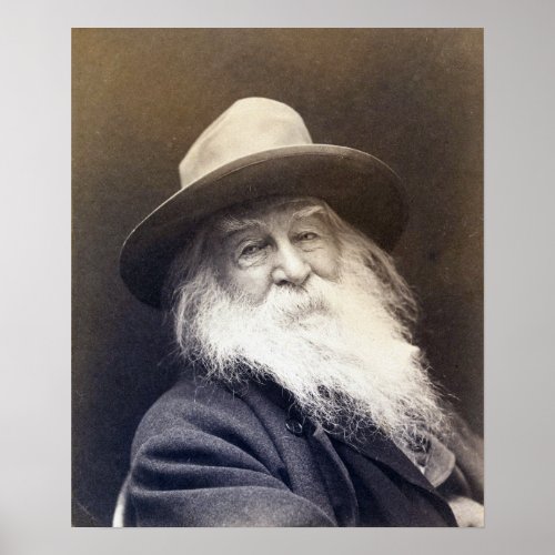 George C Cox Walt Whitman Poster