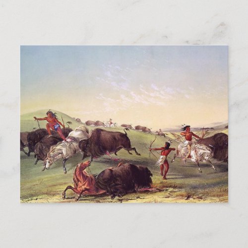 George Catlin _ Buffalo Hunt Postcard