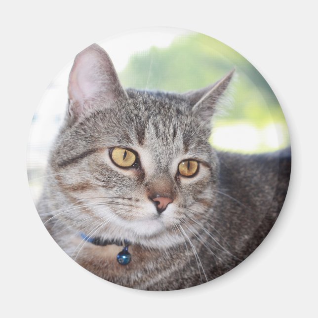 George Magnet (Front)