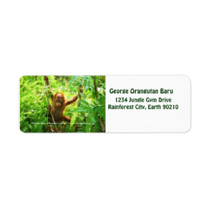 George Orangutan Label