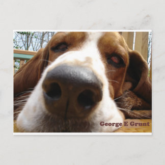 George Postcard