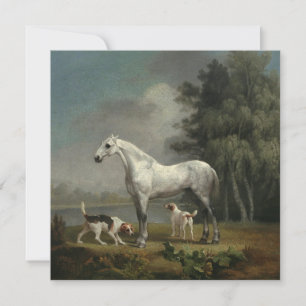 George Stubbs - A Dapple Grey Hunter Holiday Card