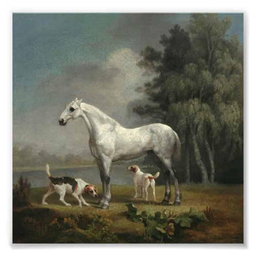 George Stubbs _ A Dapple Grey Hunter Photo Print