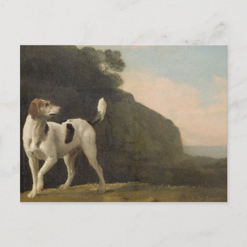 George Stubbs  A Foxhound c1760 oil on paper l Postcard