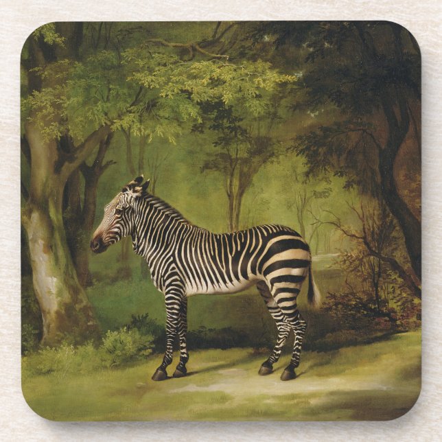 George Stubbs | A Zebra, 1763 (oil on canvas) Coaster (Front)