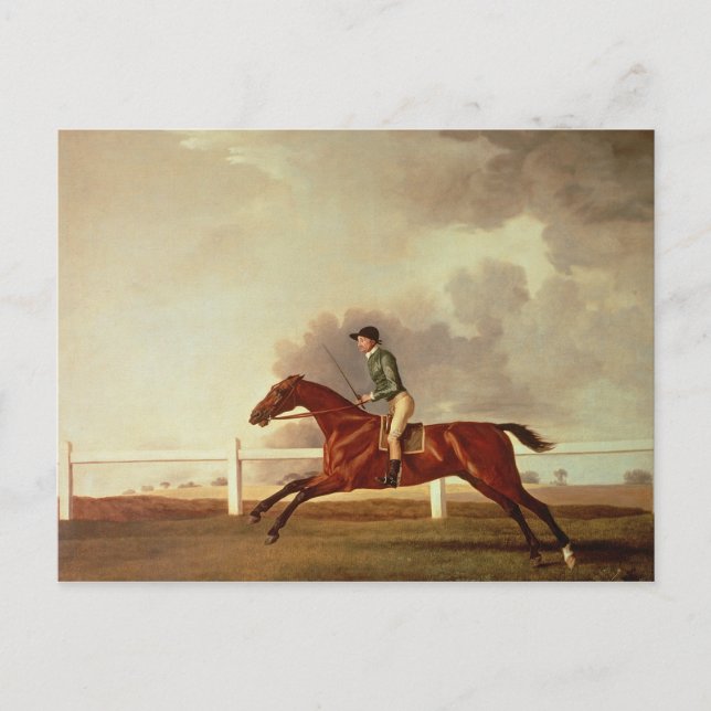 George Stubbs | Bay Malton with John Singleton Up, Postcard (Front)