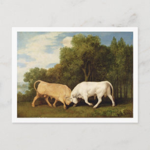 George Stubbs   Bulls Fighting, 1786 (oil on panel Postcard
