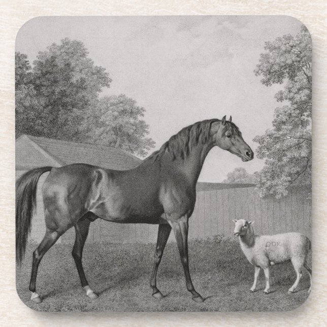 George Stubbs | Dungannon, engraved by George Town Coaster (Front)
