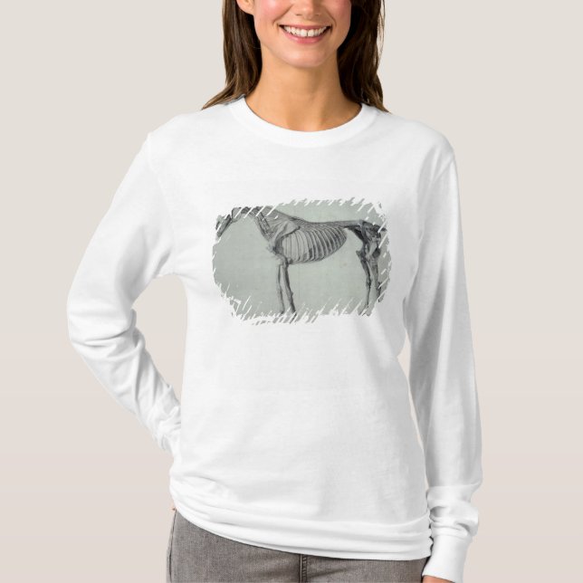 George Stubbs | Finished Study for the Fifth Anato T-Shirt (Front)