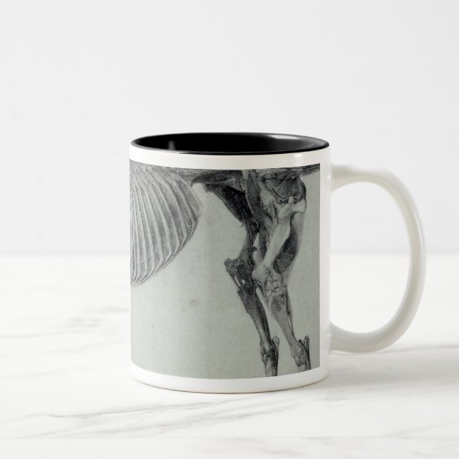 George Stubbs | Finished Study for the Fifth Anato Two-Tone Coffee Mug (Right)