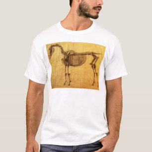 George Stubbs   Finished Study for the First Skele T-Shirt