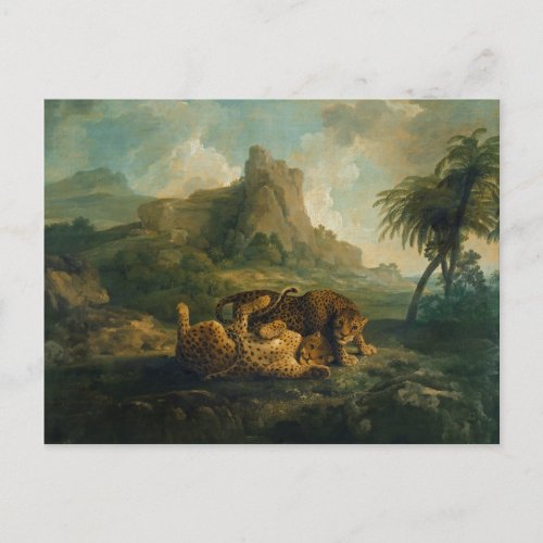 George Stubbs  Leopards at Play c1763_8 Postcard