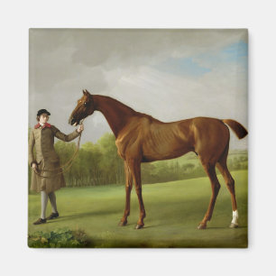 George Stubbs Lustre, held by a Groom, c.1760-62 Magnet