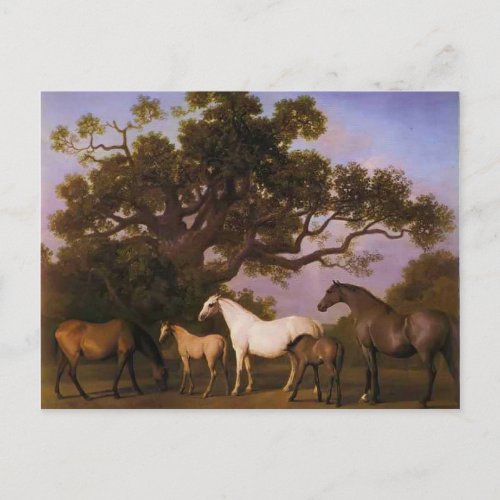 George Stubbs_ Mares and Foals under an Oak Tree Postcard