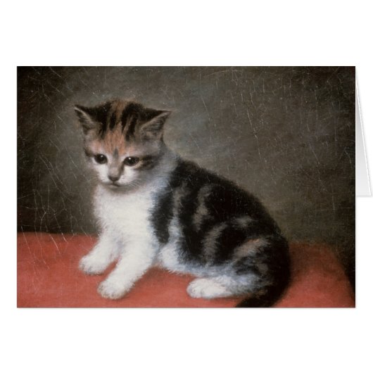 George Stubbs | Miss Ann White's Kitten, 1790 (Front Horizontal)