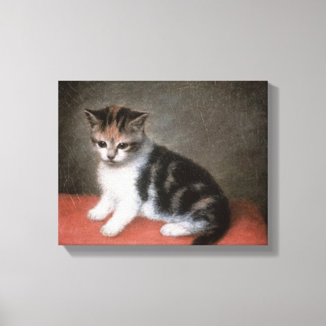 George Stubbs | Miss Ann White's Kitten, 1790 Canvas Print (Front)