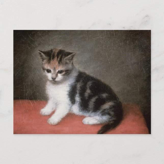 George Stubbs | Miss Ann White's Kitten, 1790 Postcard (Front)