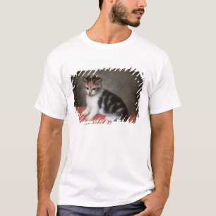 George Stubbs Miss Ann White's Kitten, 1790 T-Shirt