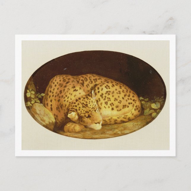 George Stubbs | Sleeping Leopard, 1777 (enamel on  Postcard (Front)